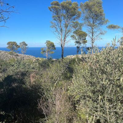 Retreat Javea Retreat Javea