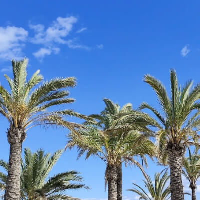 Retreat Javea Retreat Javea